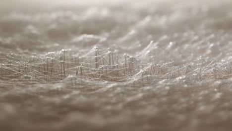 abstract digital network mesh texture