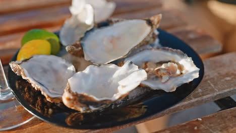 fresh oysters on a plate