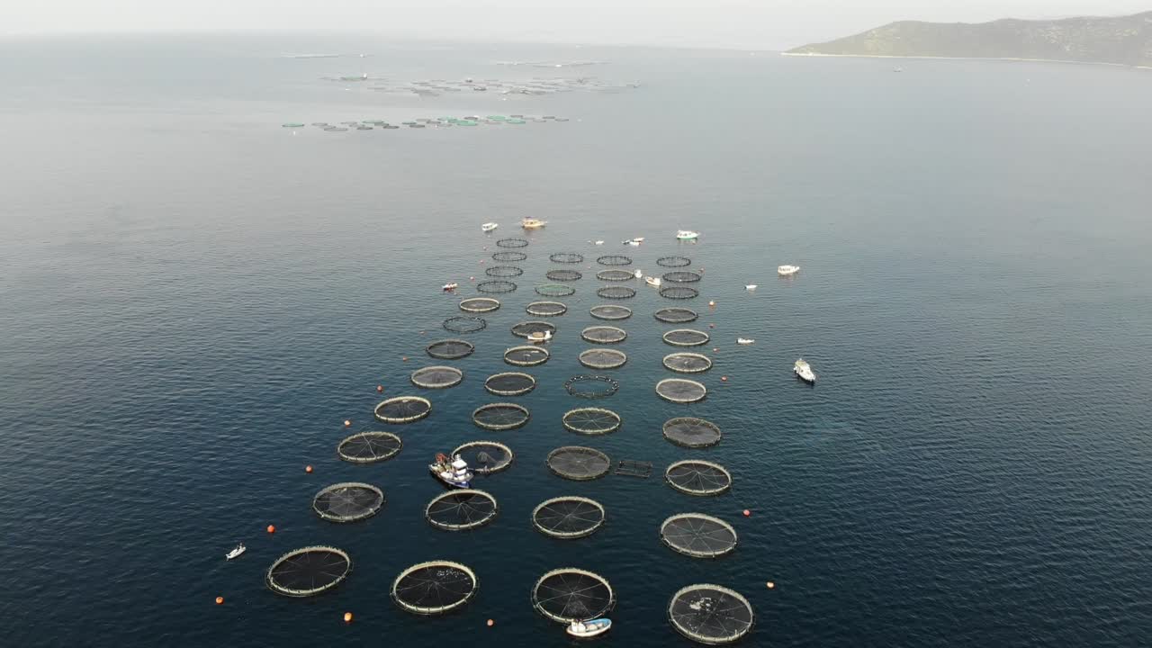 드론으로 바다에서 생선 농장을 볼 수 있습니다.