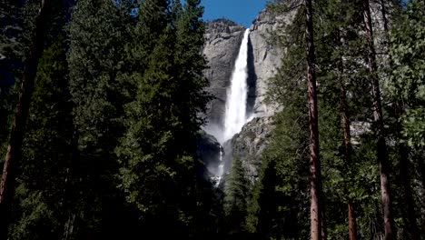 acercándose a las cataratas de yosemite entre altos pinos coníferos, plataforma rodante aérea en tiro revelador