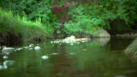 sliding-into-a-creek-day-light