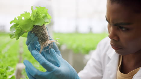 plantas, sostenible y mujer científica