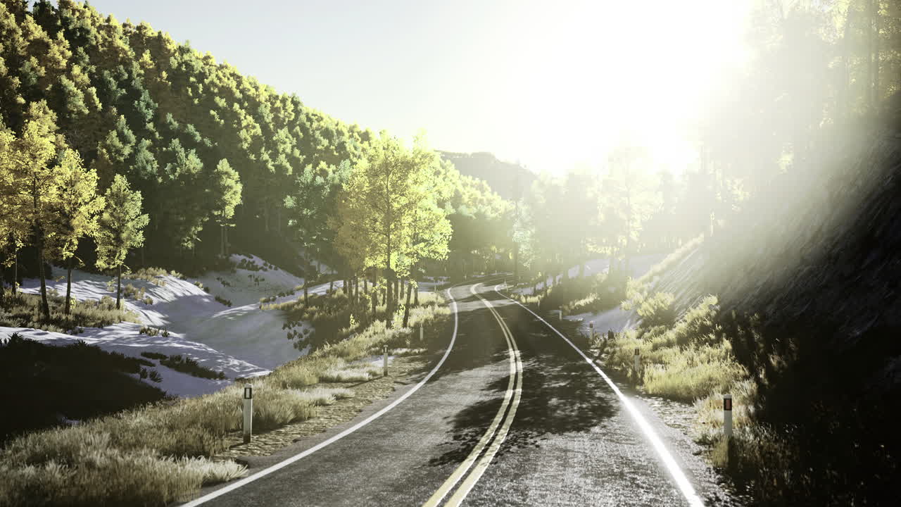 Winding road through sunlit forest landscape in autumn season