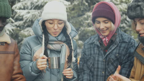 cheerful friends chatting by bbq grill at winter picnic