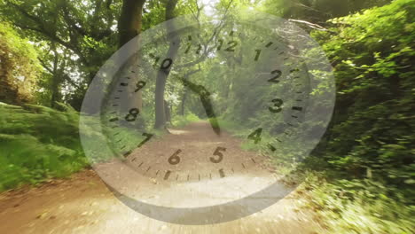 forest trail with a running clock