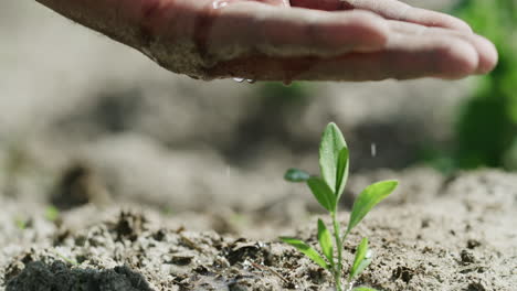 el agua es esencial para todas las dimensiones de la vida.