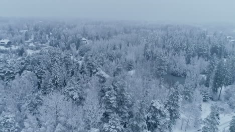 Un-Dron-Aéreo-En-Cámara-Lenta-Voló-Sobre-Las-Ramas-Superiores-De-Los-Abetos-Cubiertos-De-Nieve,-Revelando-Un-Vasto,-Salvaje-Y-Vacío-Paisaje-Invernal-Con-Cabañas,-Lagos,-Carreteras-Cubiertas-De-Nieve-Fresca