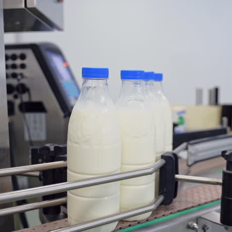 automated company for packaging milk. plastic bottles with fresh white milk on a conveyor belt. modernized dairy plant.