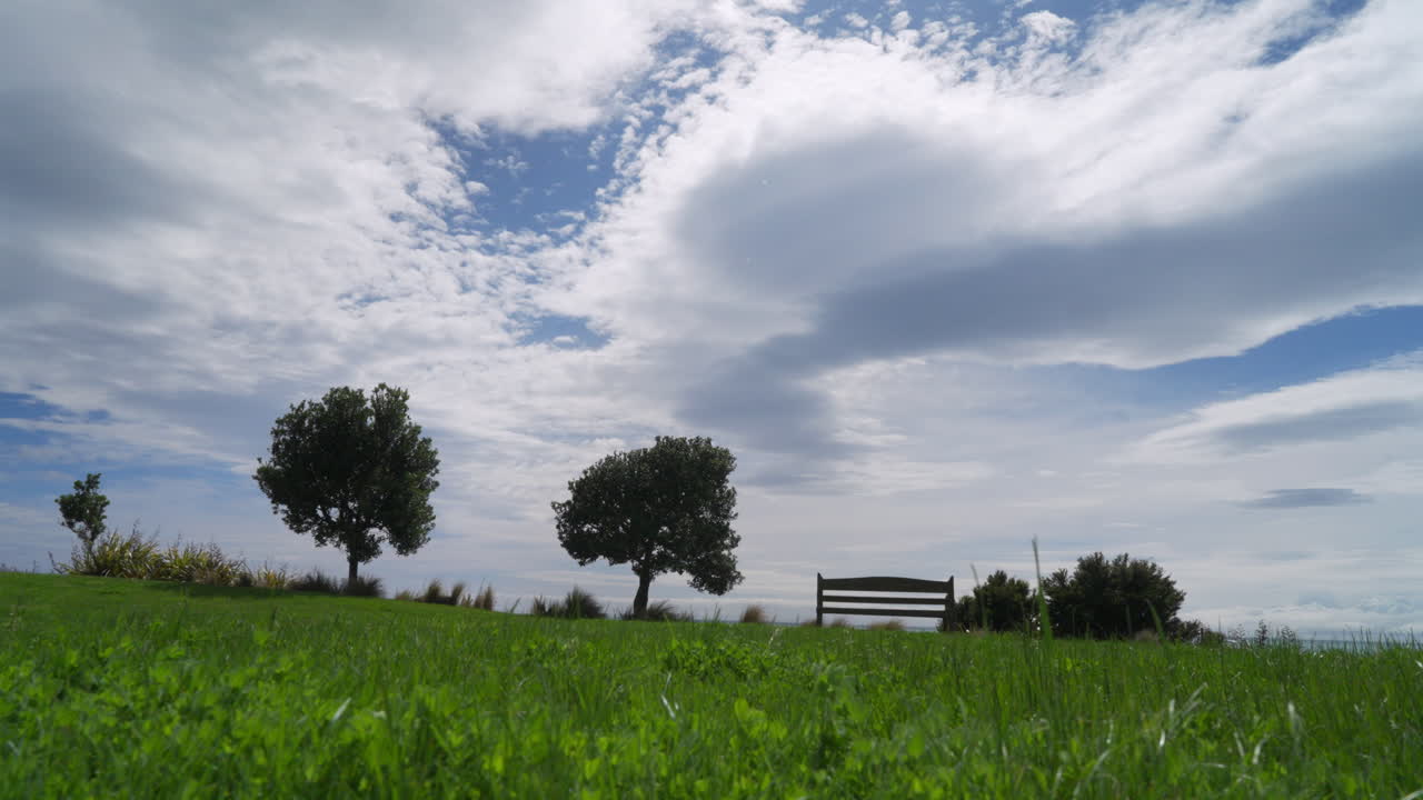 el movimiento desaparece más allá de las hojas de hierba con árboles y banco en el horizonte, día soleado