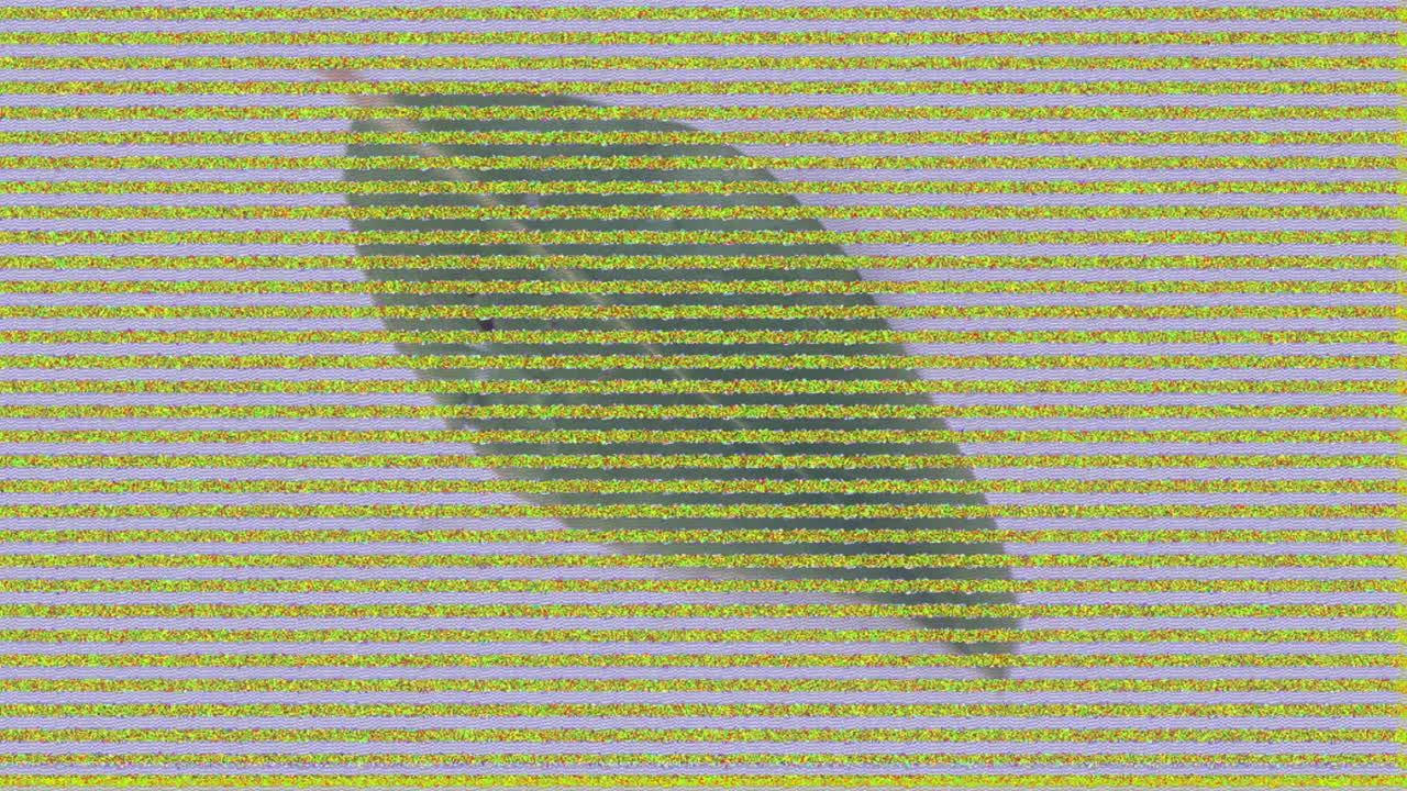 imagen final: una pantalla de televisión fija con estática, menos hoja, gota, patrón de onda y canal alfa.