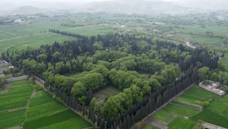 el arte vivo de mimla bagh