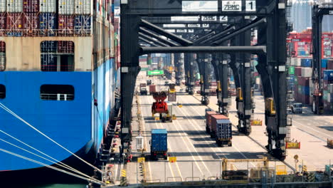 multiple container cranes in loading operations on a giant vessel moored in hong kong industrial port