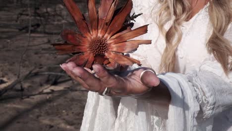 Blonde-Frau-Hält-Eine-Verbrannte-Fynbos-Blume-Mit-Ringen-Und-Einem-Gewand