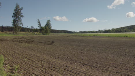 Zoom-De-Lapso-De-Tiempo-De-2-Meses-Fuera-De-Los-Cultivos-Que-Crecen-Desde-El-Campo-Labrado