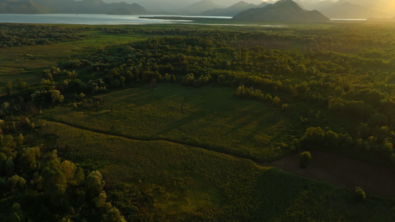 fotografía aérea giratoria de las marismas en el parque nacional del lago skadar, montenegro