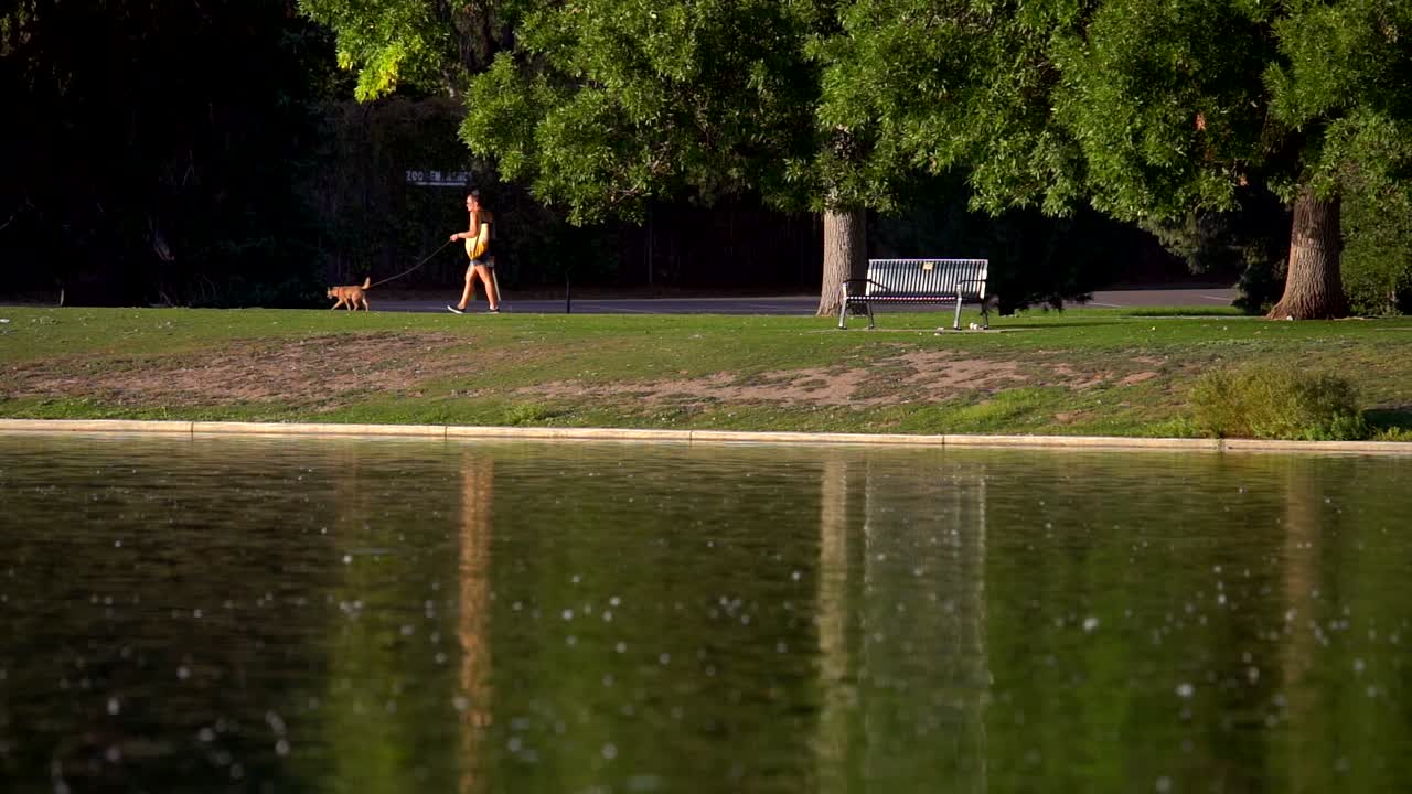 덴버 시립 공원에서 슬로우 모션으로 걷는 사람들