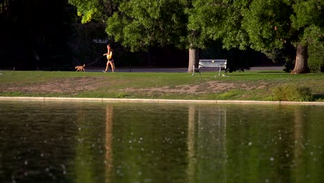 gente caminando en cámara lenta en el parque de la ciudad de denver