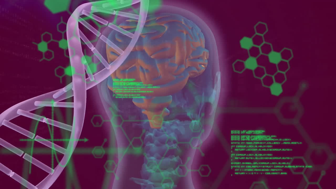 animación de la cadena de adn, el cerebro humano y el procesamiento de datos científicos.