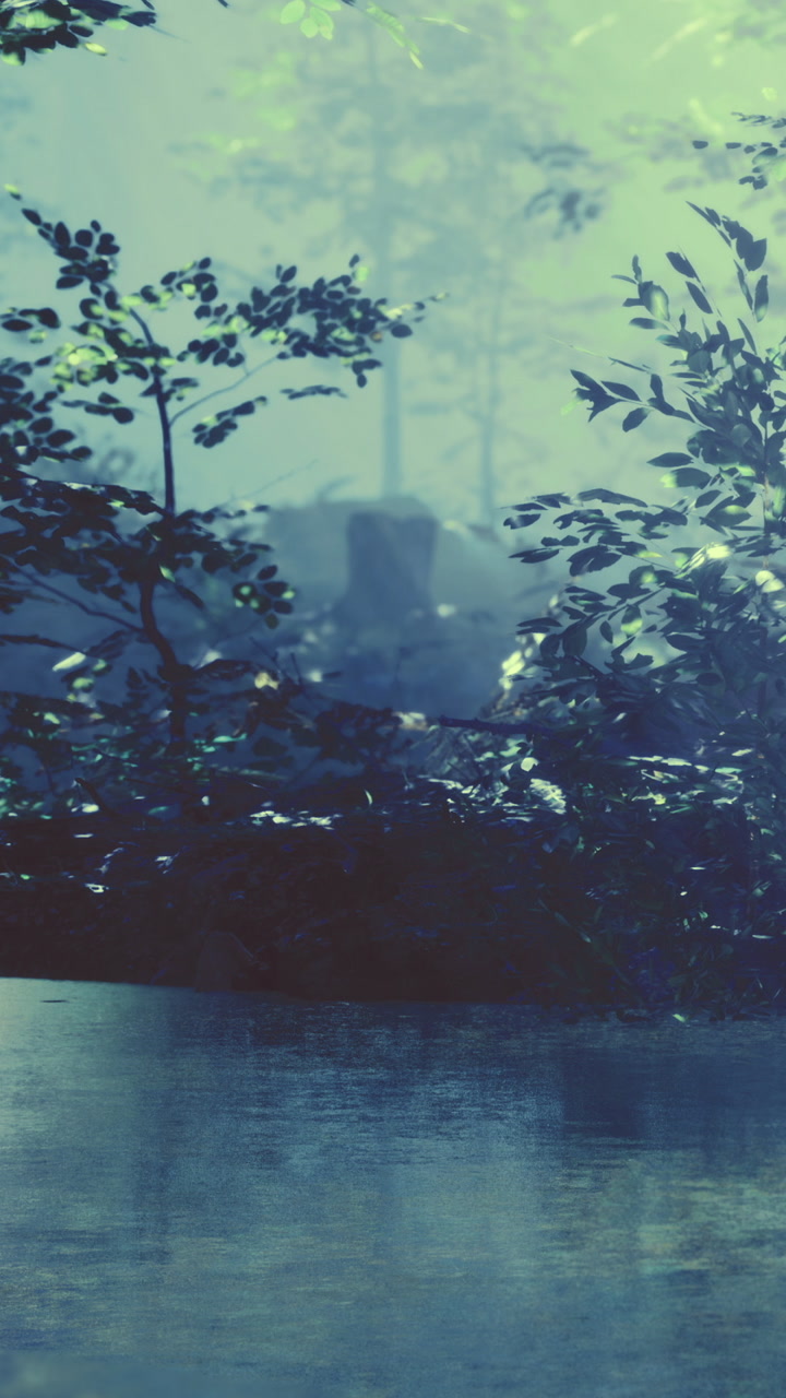Water reflects trees near a quiet lake at dawn with mist above the surface