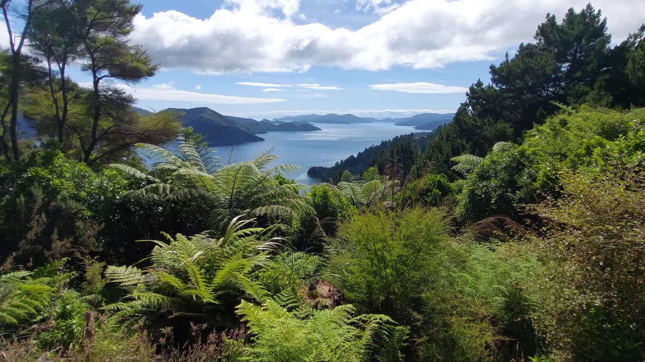 Una vista dei Queen Charlotte Sounds nell'Isola del Sud della Nuova Zelanda.