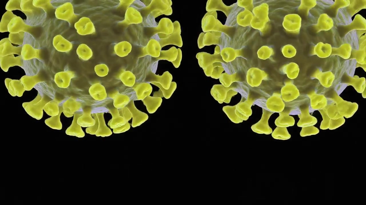 3D Animation of Coronavirus Cells Releasing Viral Particles