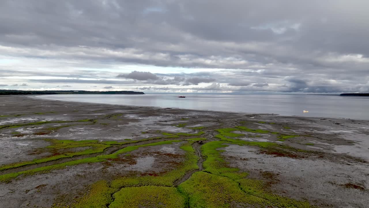 Aerial View of Mudflats and Coastline on an Overcast Day