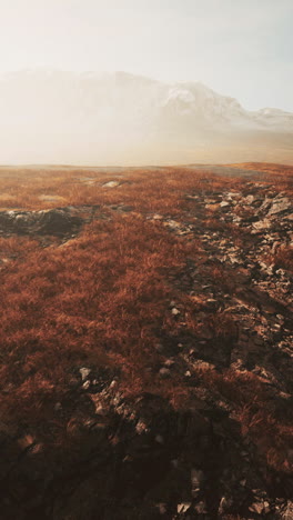 paisaje montañoso con campos de hierba y niebla