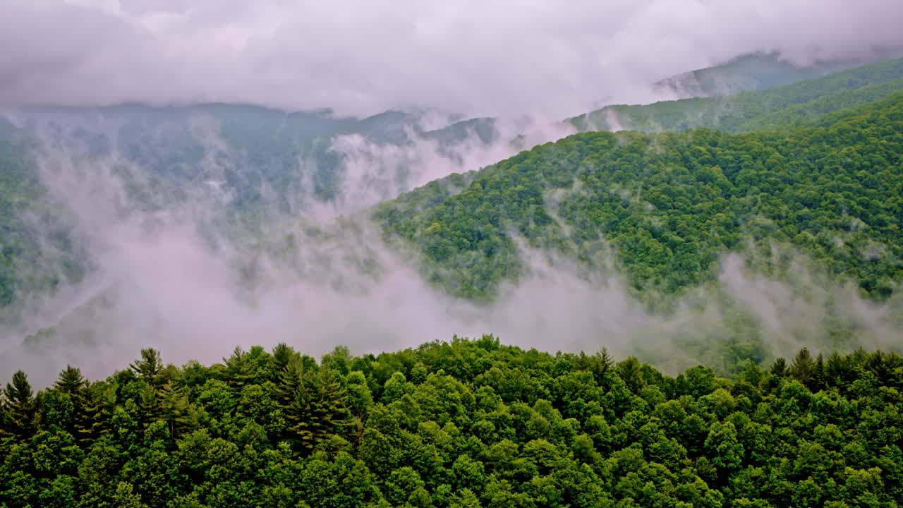 Fog weaves through the Smokies in this ethereal drone clip