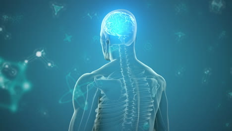animación del cuerpo humano con cerebro y partículas brillantes en fondo azul