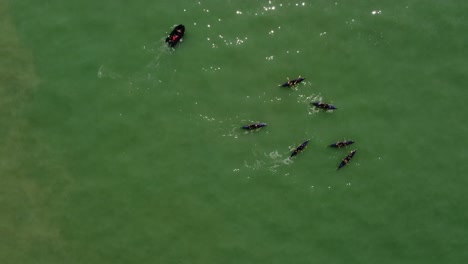 Draufsicht-Auf-Ein-Ruderteam,-Das-An-Einem-Sonnigen-Tag-Mit-Schwarzen-Booten-Im-Grünen-Wasser-Des-Ozeans-übt