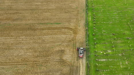 Drone-shot-of-a-modern-combine-harvester-in-action,-cutting-through-a-large-field,-showing-the-contrast-between-harvested-and-unharvested-areas