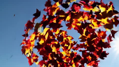 las hojas de otoño que caen