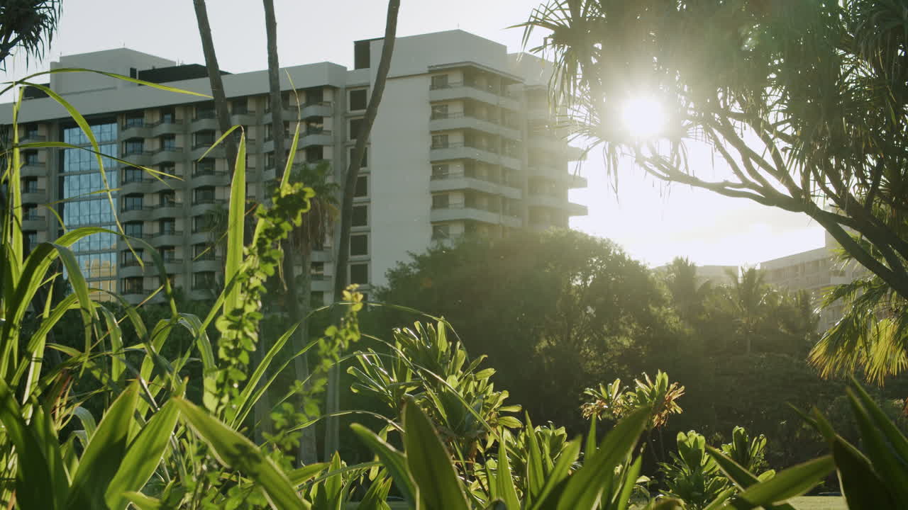 Tropical Resort Building with Lush Greenery and Sunlight
