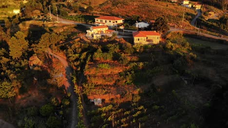 sunset in portugal countryside