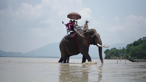 tourists riding on an elephant in a river