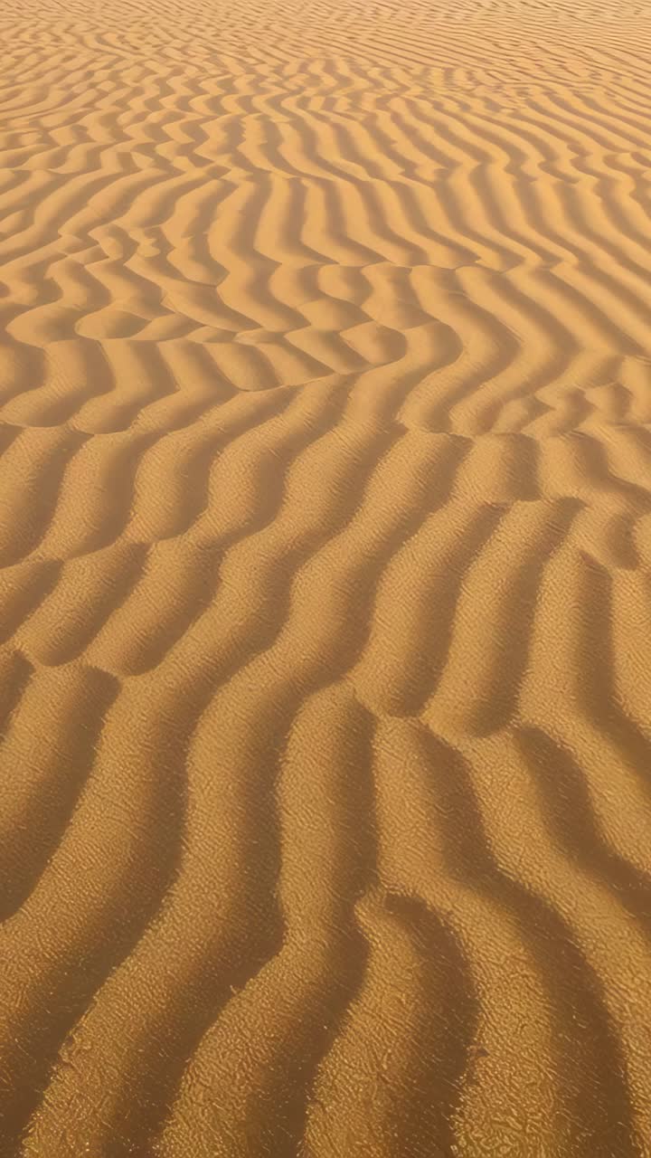 Vertical video: Starting pan, camera panning sand ripples on dune, revealing distant crest and sky