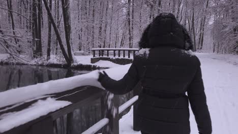 Warm-Gekleidete-Sorglose-Frau,-Die-Schneefall-Vom-Hölzernen-Flussgeländer-Im-Polnischen-Winterwald-Entfernt