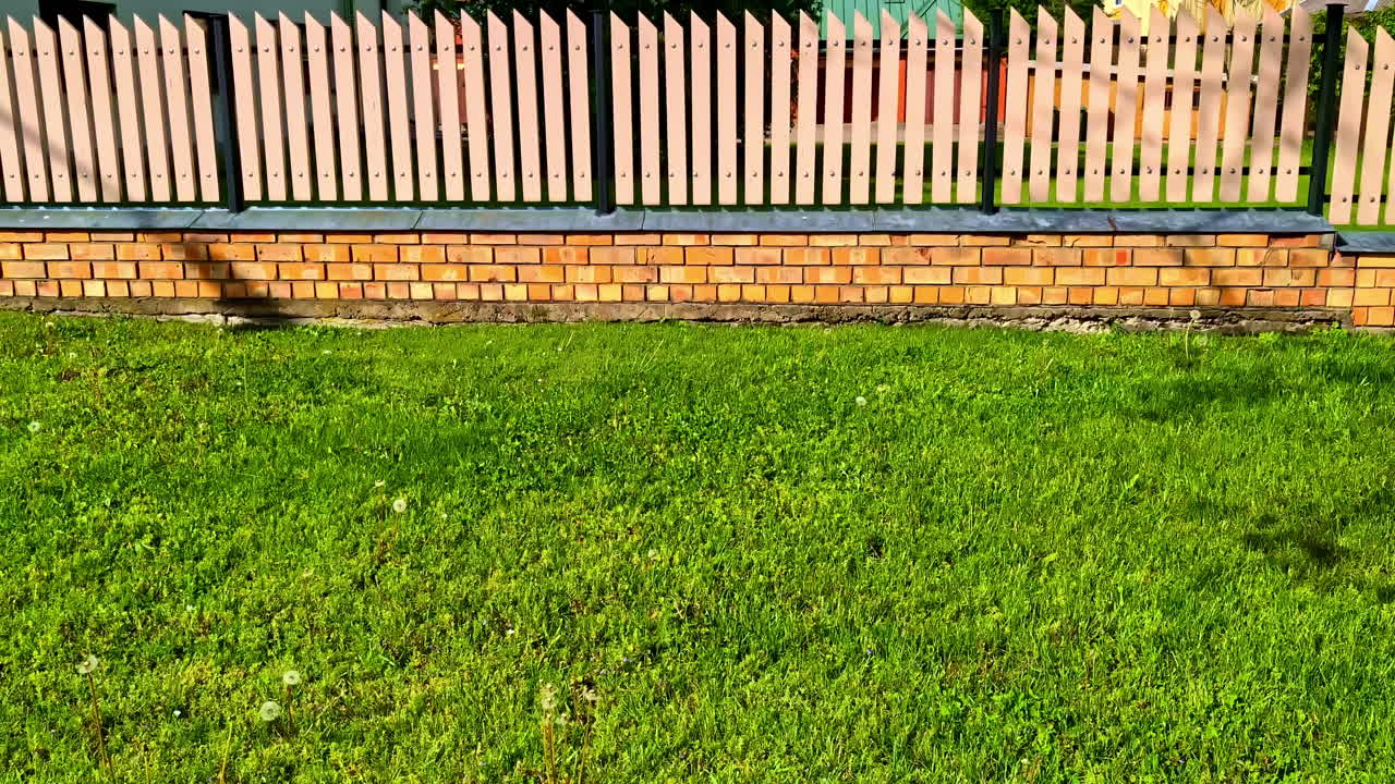 Bright Wooden Fence With Green Lawn in Front of Brick Wall on Sunny Day