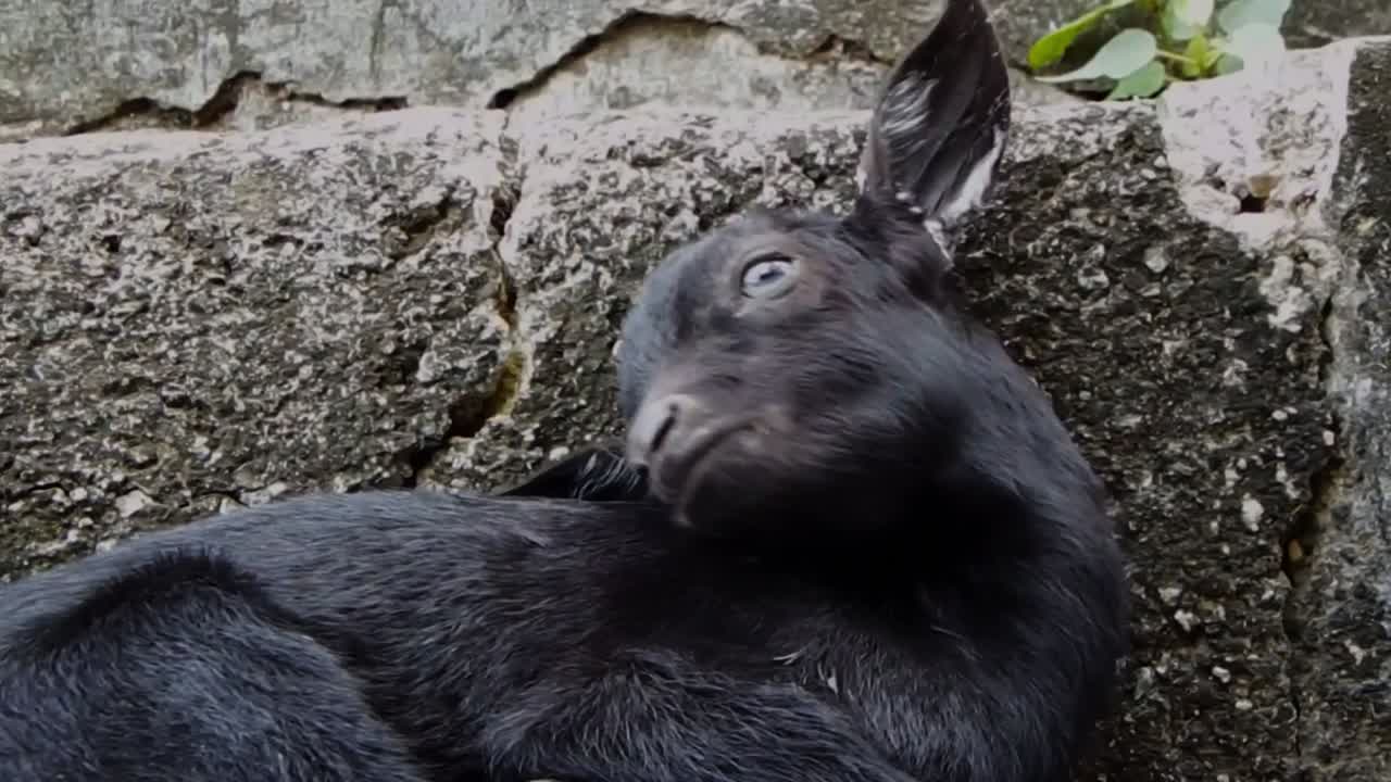 길가에서 어린 아이들이 휴식을 취하기 위해 휴식을 취합니다.