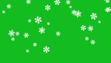 copos de nieve blancos de diferentes tamaños cayendo lentamente sobre el fondo de la pantalla verde