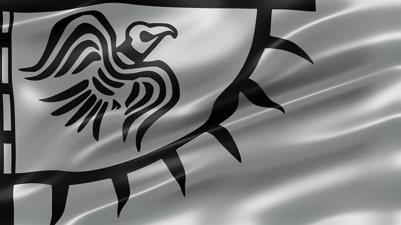 estandarte de cuervo, vista frontal, cuadro completo, brillante, elegante textura sedosa, ondeando en el viento, aspecto de película, animación realista de 4k cg, movimiento lento revoloteando, sin problemas de bucle