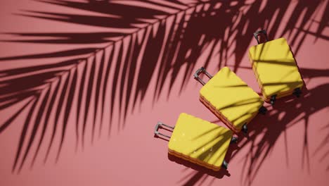 maletas sobre un fondo rojo tropical