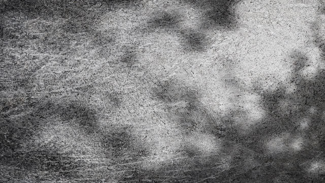 Moving Tree Shadows on a Textured Grey Concrete Surface