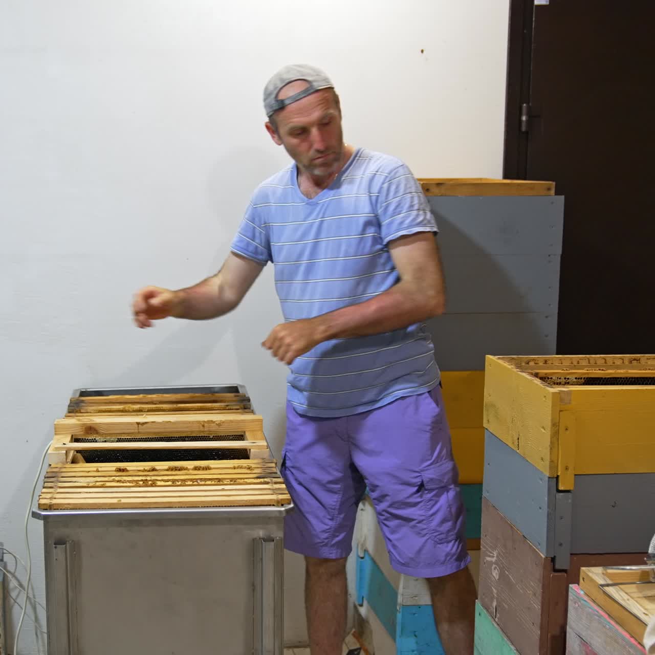 Adult man takes the frames from hive into a big box. Beekeeper preparing the frames for honey extraction