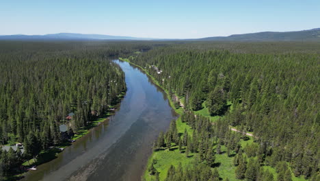 Großer-Grüner-Wald-Aus-Immergrünen-Bäumen,-Durch-Den-An-Einem-Hellen-Tag-Und-Blauem-Himmel-Ein-Breiter-Fluss-Fließt