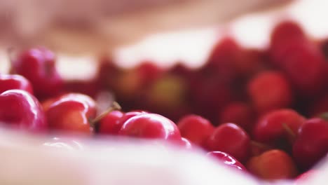 freshly picked acerola cherries drop into a basket