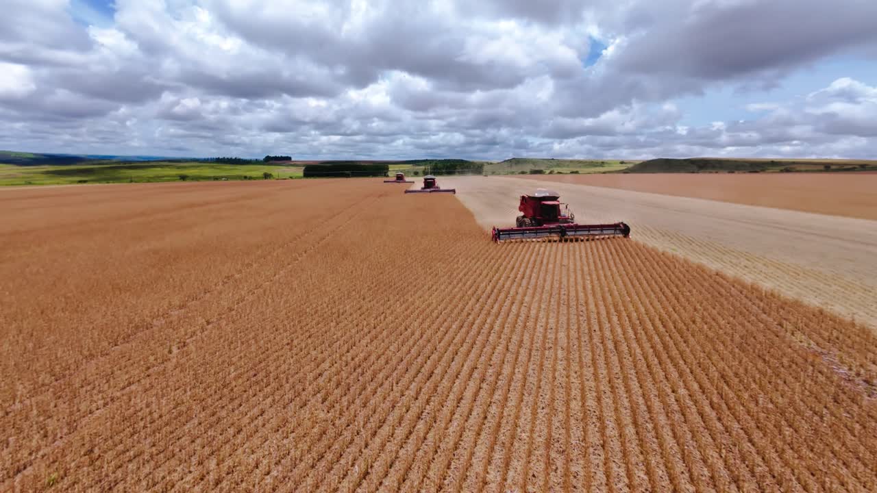 Aerial view of a combine harvester working in a soy bean field during the harvest season showcasing the agricultural landscape and modern farming practices in São João da Aliança, Goiás, Brazil,