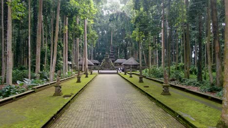 iconic pathway in middle of jungle forest leading toward sangeh temple, low altitude fly