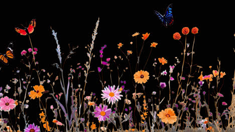 Vibrant butterflies amidst wildflowers animated overlay, transparent 4K video, alpha channel, ProRes