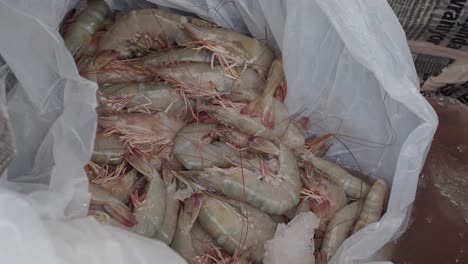 camarones frescos